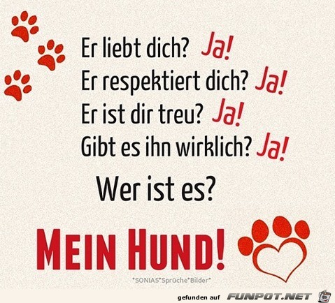 Mein Hund Mein Hund