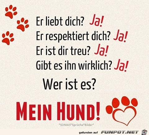 Mein Hund