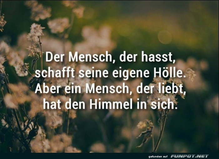 Der Mensch der hasst