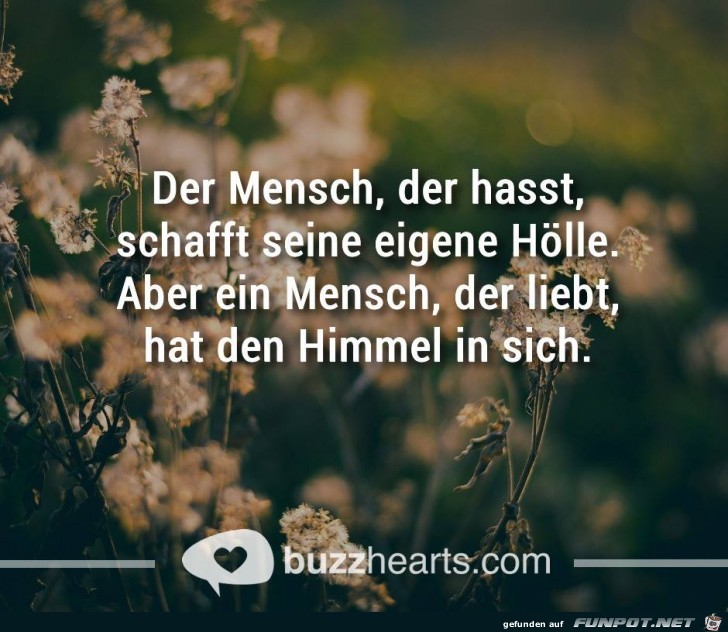 Der Mensch der hasst Der Mensch der hasst