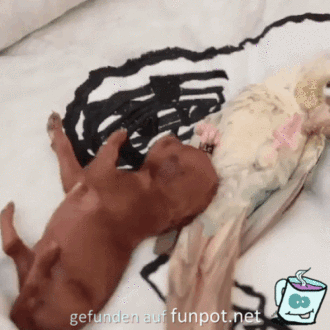 Kuschelzeit Kuschelzeit
