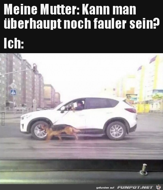 meine Mutter: kann man noch fauler sein?.. meine Mutter: kann man noch fauler sein?..