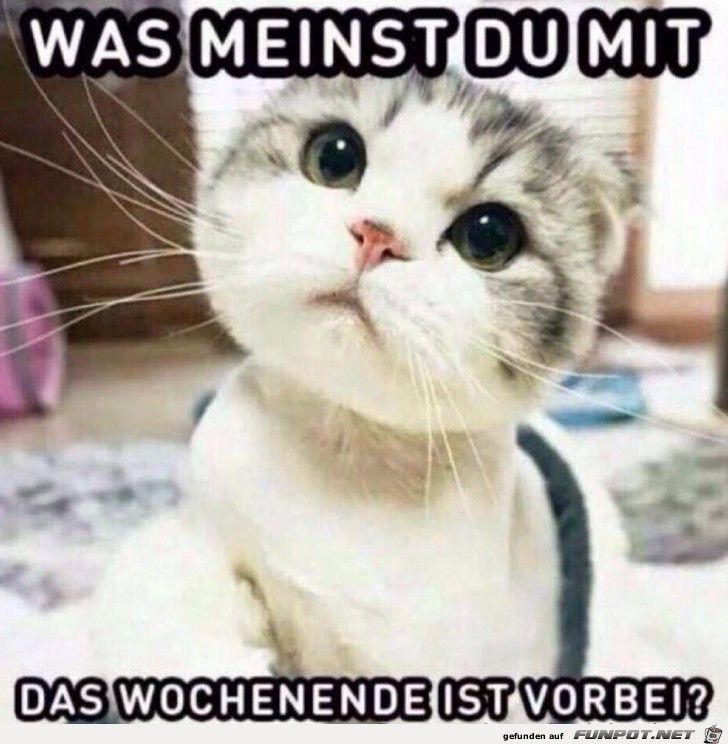 Das ist ja blöd Das ist ja blöd