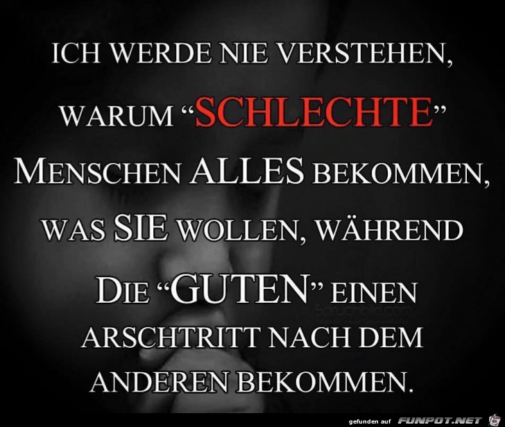 Werde nie verstehen Werde nie verstehen