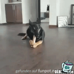 Komischer Knochen Komischer Knochen