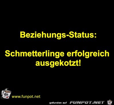 Schmetterlinge Schmetterlinge