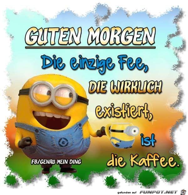 Die einzige Fee Die einzige Fee