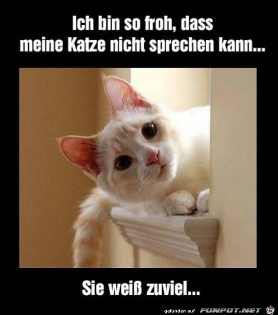 Bin so froh Bin so froh