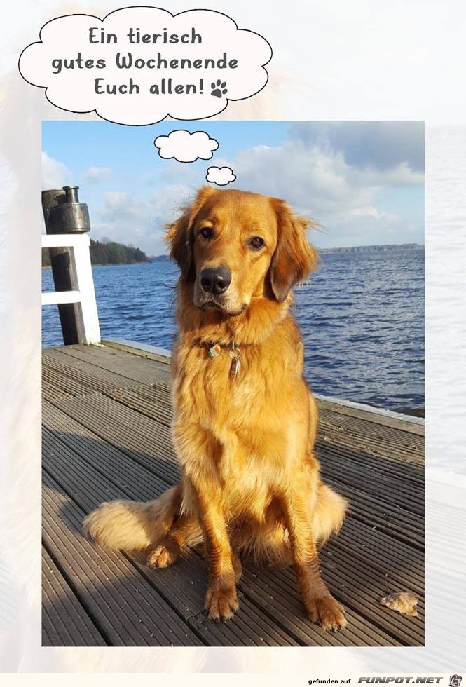 Ein tierisches Wochenende Ein tierisches Wochenende