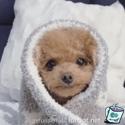Wie knuffig Wie knuffig