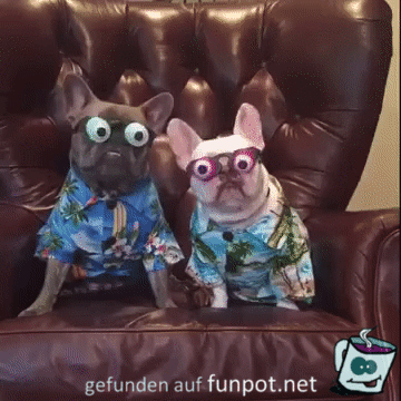 Lustige Augen Lustige Augen