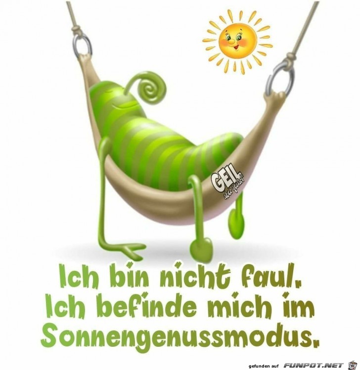 ich bin nicht faul ich bin nicht faul