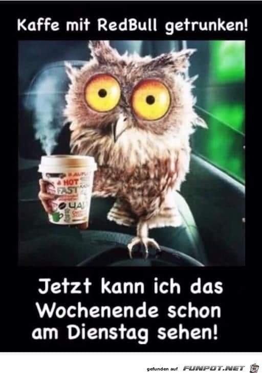 kaffee mit REdbull kaffee mit REdbull