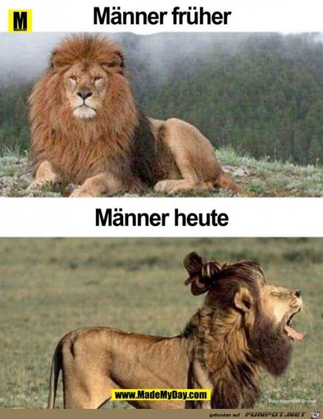 Männer Männer