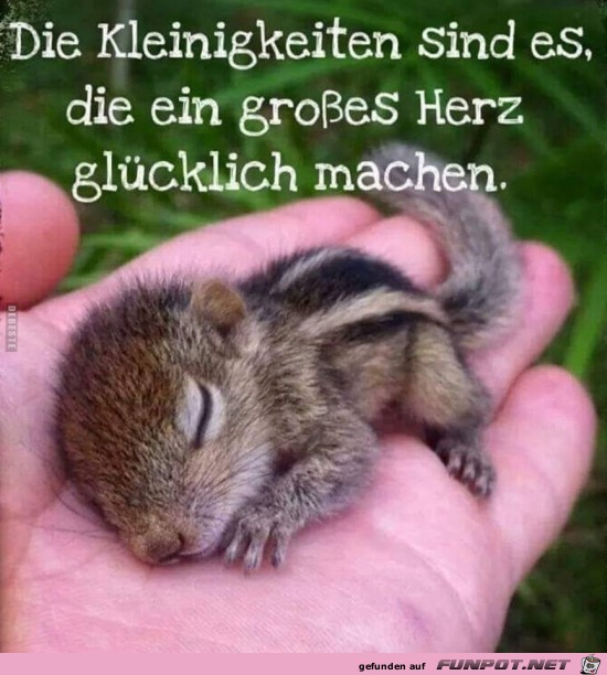 die Kleinigkeiten sind es,....... die Kleinigkeiten sind es,.......