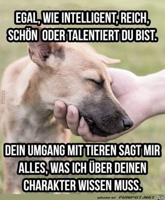 dein Umgang mit Tieren sagt mir alles.......