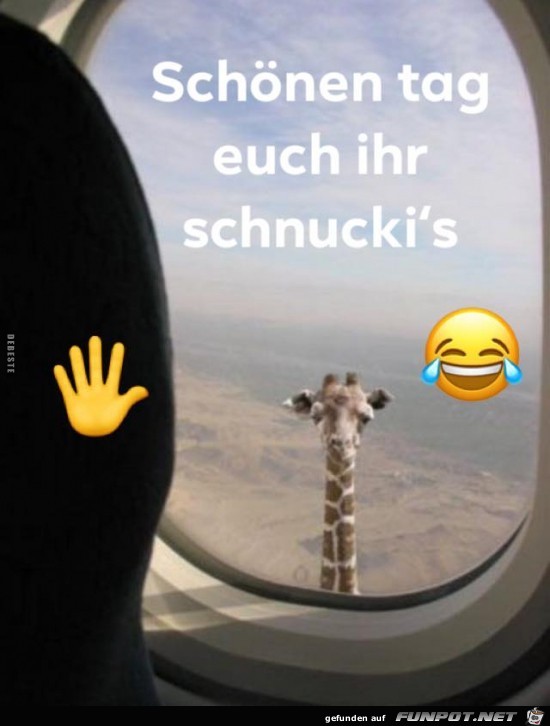 schönen Tag euch....... schönen Tag euch.......
