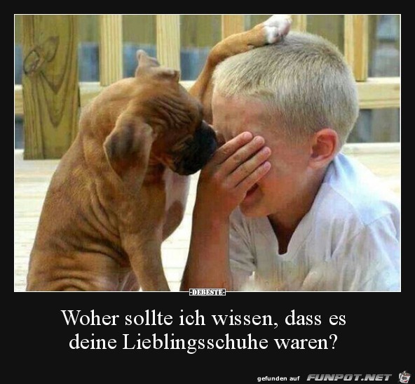 woher sollte ich wissen, ..... woher sollte ich wissen, .....