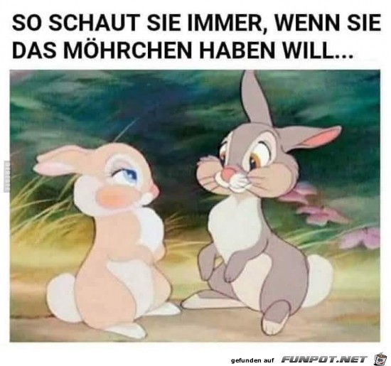so schaut sie immer....... so schaut sie immer.......