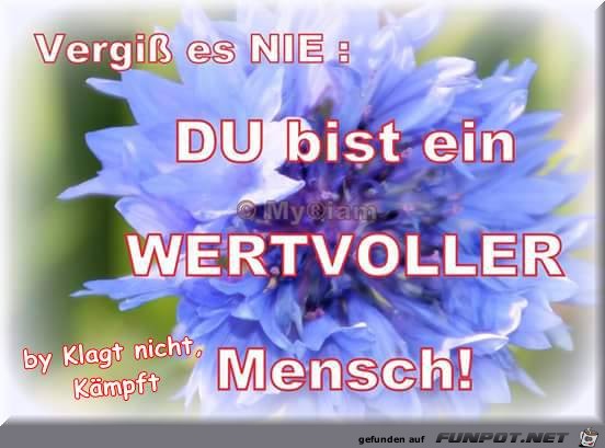 Vergiss es Nie Vergiss es Nie