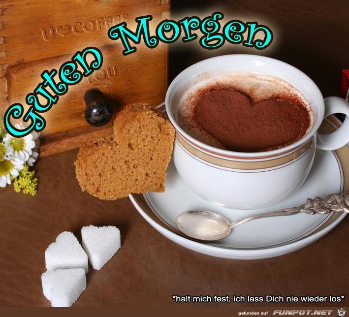 Guten Morgen Guten Morgen