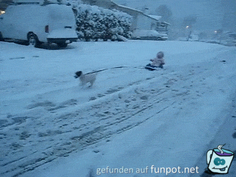 Super Hund Super Hund