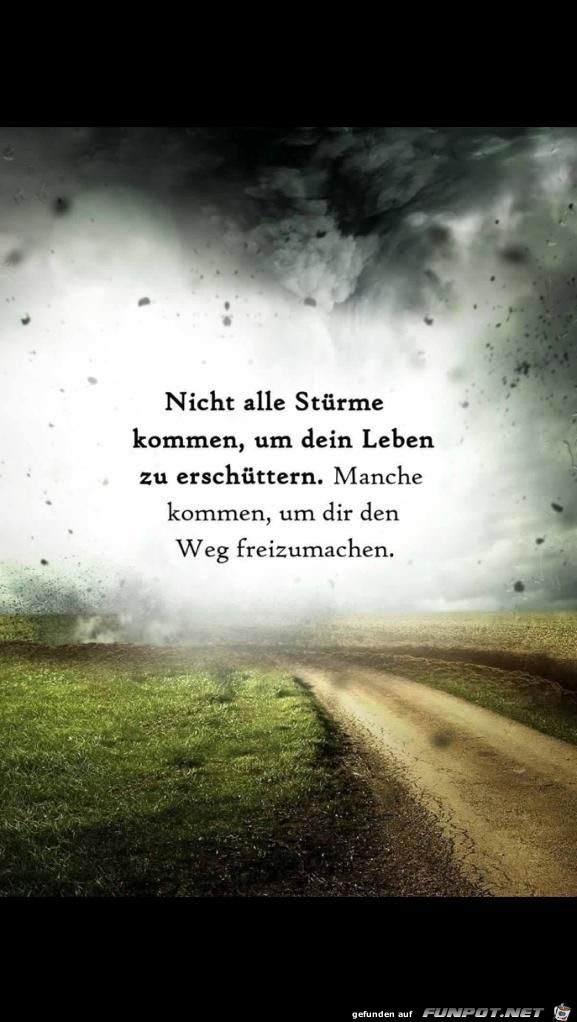 nicht alle stuerme nicht alle stuerme