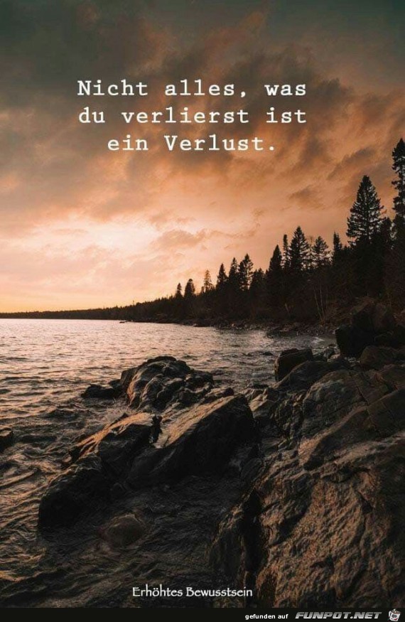 nicht alles nicht alles