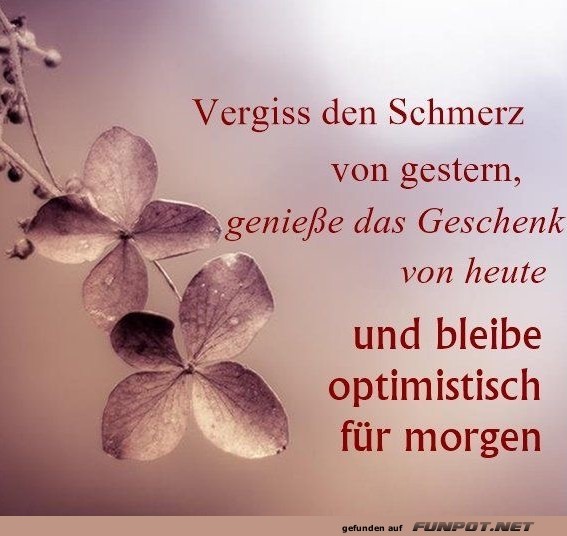 10 schne Sprche und Lebensweisheiten aus...