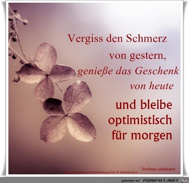 vergi ss den Schmerz von gestern vergi ss den Schmerz von gestern