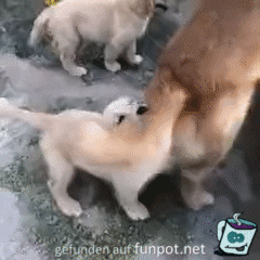 Jetzt reichts Jetzt reichts