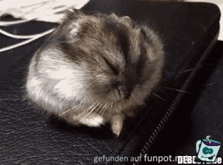 Und abwärts Und abwärts