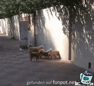 Schlupfloch Schlupfloch