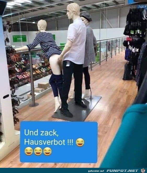 wie blöd wie blöd