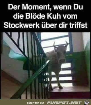 Welch Überraschung Welch Überraschung