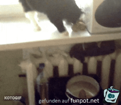 Lustiges Spiel Lustiges Spiel