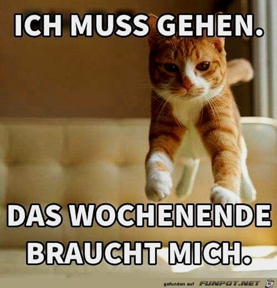 Ich muss gehen Ich muss gehen