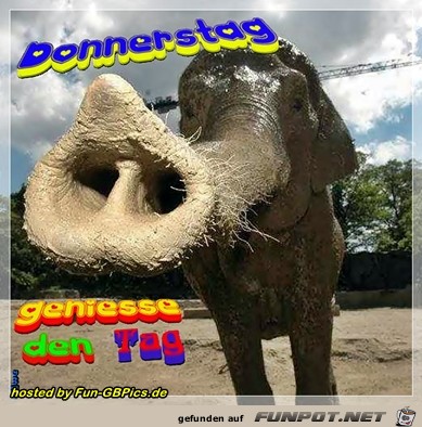 Donnerstag - Geniesse den Tag Donnerstag - Geniesse den Tag