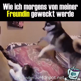 So wird geweckt So wird geweckt