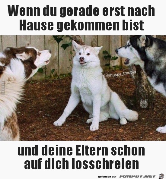 wenn du gerade erst nach Hause gekommen bist,..... wenn du gerade erst nach Hause gekommen bist,.....