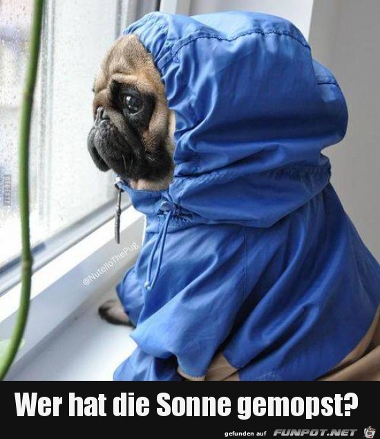 wer hat die Sonne gemopst?......