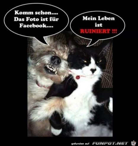 komm schon, das Foto ist fr Facebook