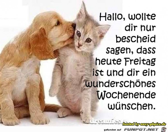 Hallo wollte dir nur Hallo wollte dir nur
