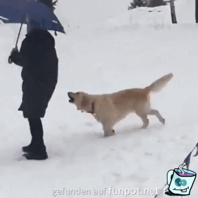 Ich mag Schnee Ich mag Schnee