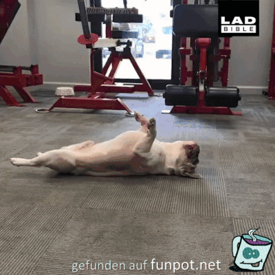 Erst mal ausruhen Erst mal ausruhen