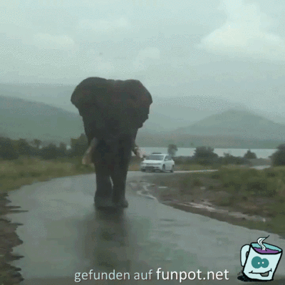 Ziemlich groß Ziemlich groß