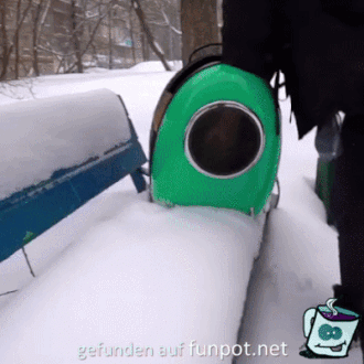 Mal den Schnee angucken Mal den Schnee angucken