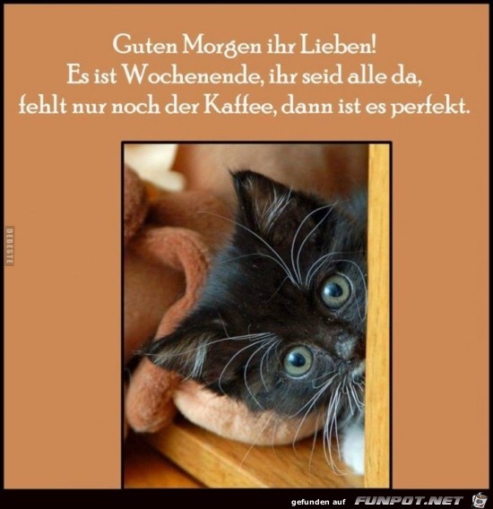 es ist Wochenende....... es ist Wochenende.......