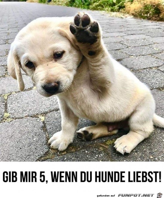 gib mir 5....