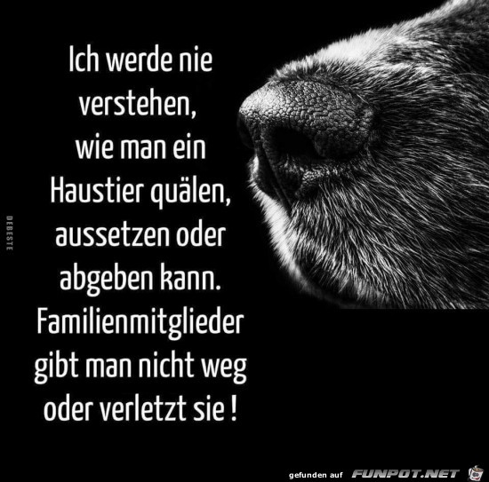ihc werde nie erstehen....... ihc werde nie erstehen.......